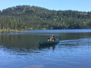 Stor-Elvdal Kommuneskoger KF