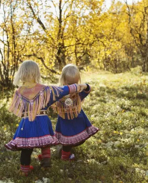 Nasjonalt samisk kompetansesenter (NASAK)