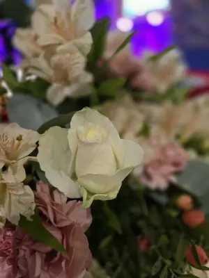 Andreassen Begravelsesbyrå AS