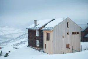 RAM arkitektur as