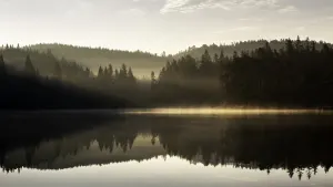 Larvik og Omegns Turistforening
