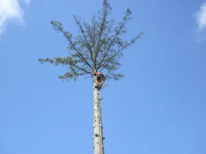 Bømlo Bygdeservice SA