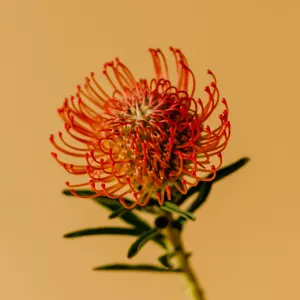 Hilverda de Boer Stavanger