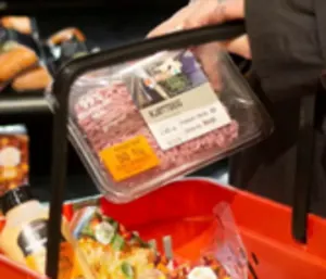 Spar Finbekken