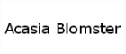 Acasia Blomster