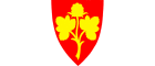 Nesseby kommune / Unjargga gielda