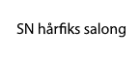 Sn Hårfiks salong