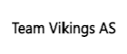 Team Vikings AS