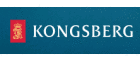 Kongsberg Naval Services AS