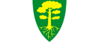 Beiarn Kommune
