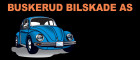 Buskerud Bilskade AS
