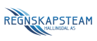 Regnskapsteam Hallingdal AS