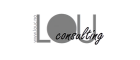 Lou Consulting AS