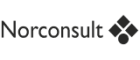 Norconsult Hønefoss