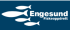 Engesund Fiskeoppdrett AS