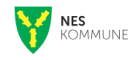Nes kommune