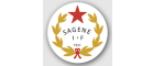 Sagene IF