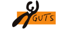 Stiftelsen Guts