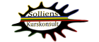 Solliens Kurskonsult