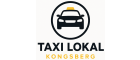 Taxi lokal Kongsberg
