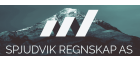 Spjudvik Regnskap AS