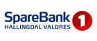 SpareBank 1 Hallingdal Valdres