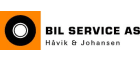 Bil Service
