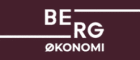 Berg økonomi