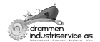 Drammen Industriservice AS