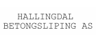 Hallingdal Betongsliping AS