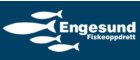 Engesund Fiskeoppdrett AS