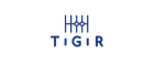 Tigir AS