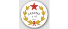 Sagene IF