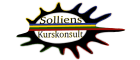 Solliens Kurskonsult