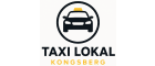 Taxi lokal Kongsberg
