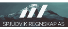 Spjudvik Regnskap AS