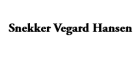 Snekker Vegard Hansen