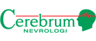 Cerebrum Nevrologi