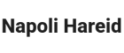 Napoli Hareid AS