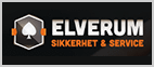 Elverum sikkerhet & service AS