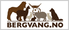 Bergvang AS