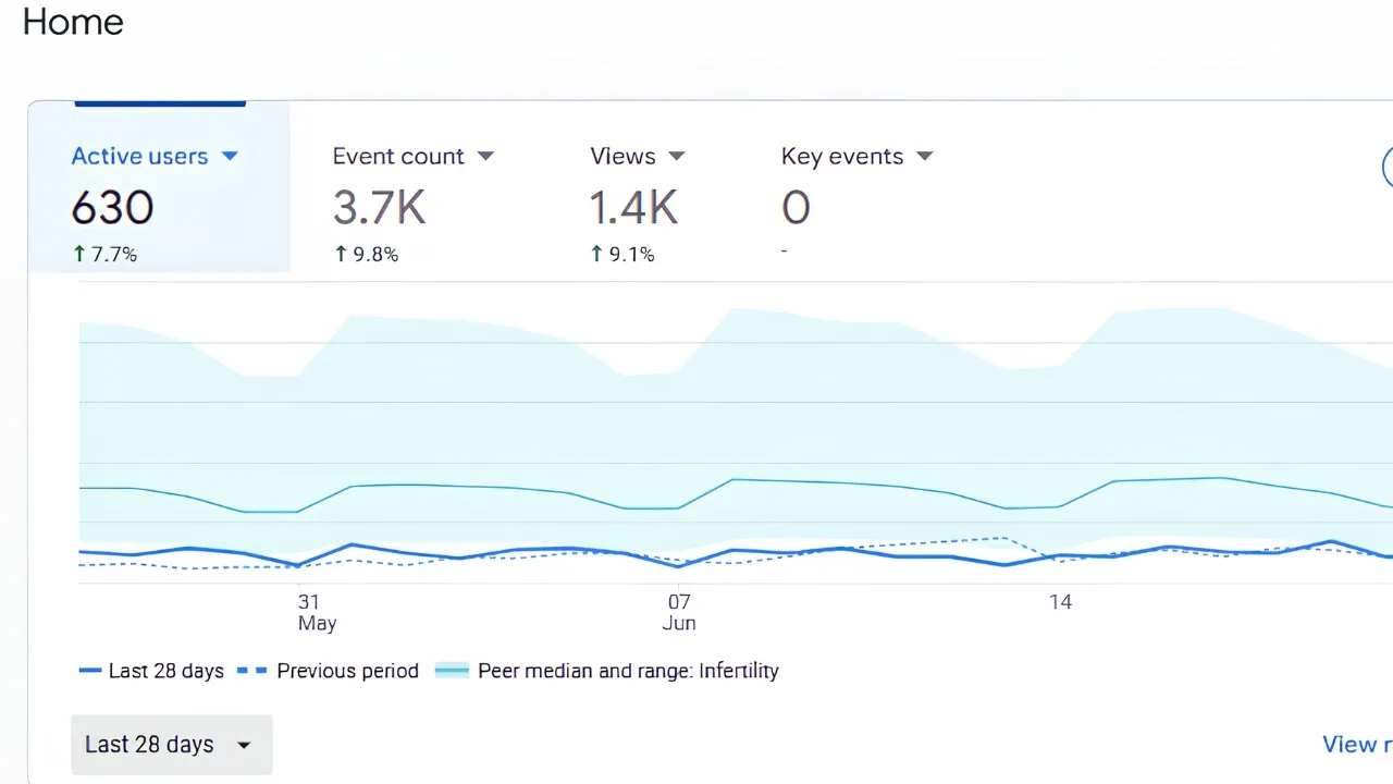 Google Analytics Performance