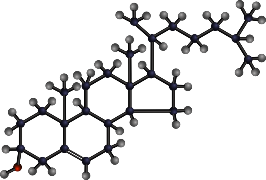 الكوليسترول