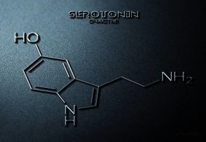 سيروتونين