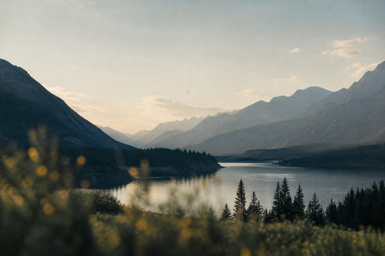 Landscape
