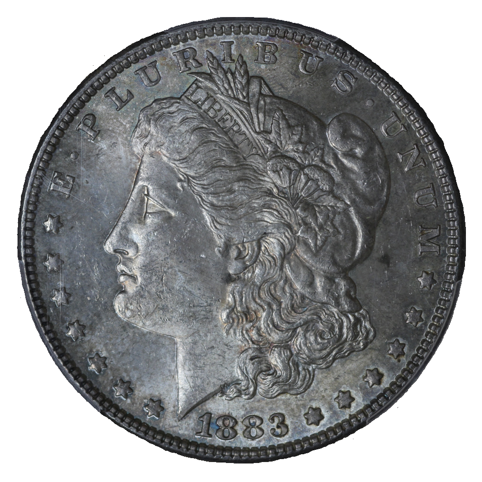 1883 Morgan Dollar