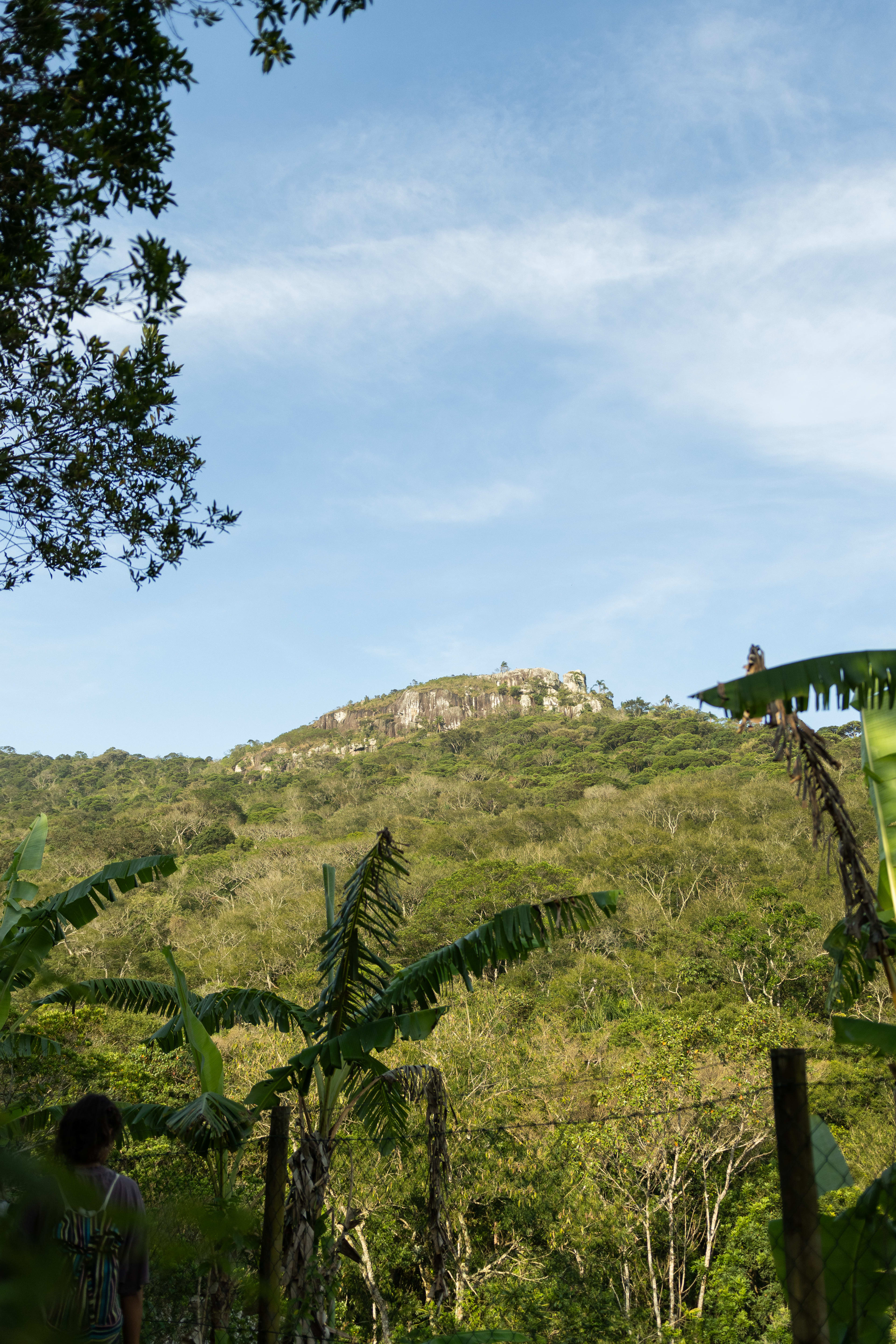NATURALEZA