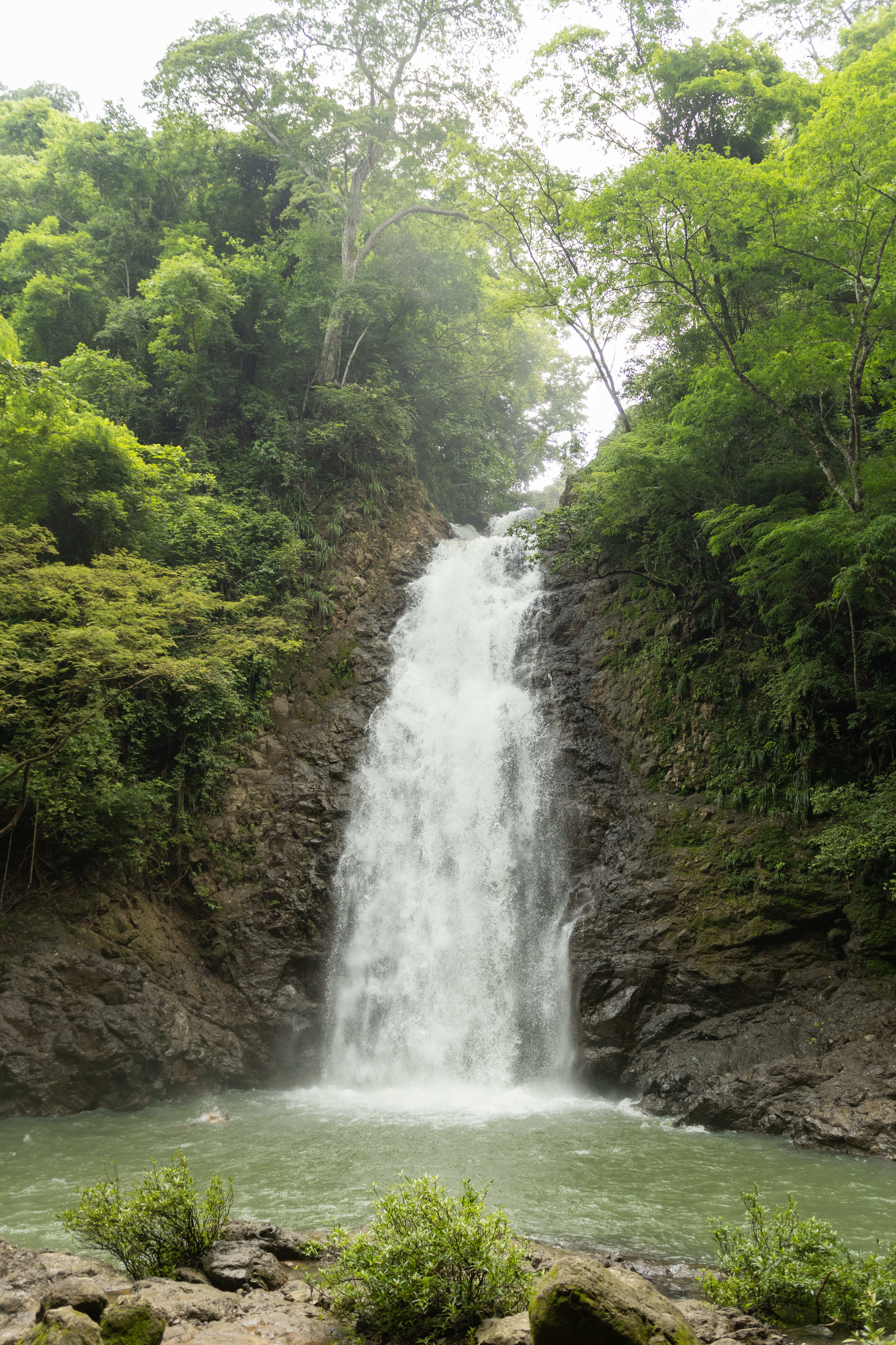 NATURALEZA