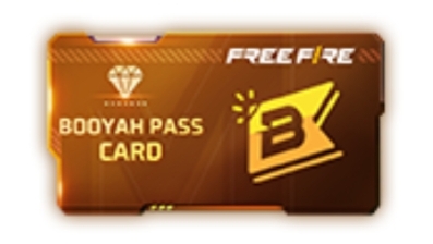 تصريح بوياه