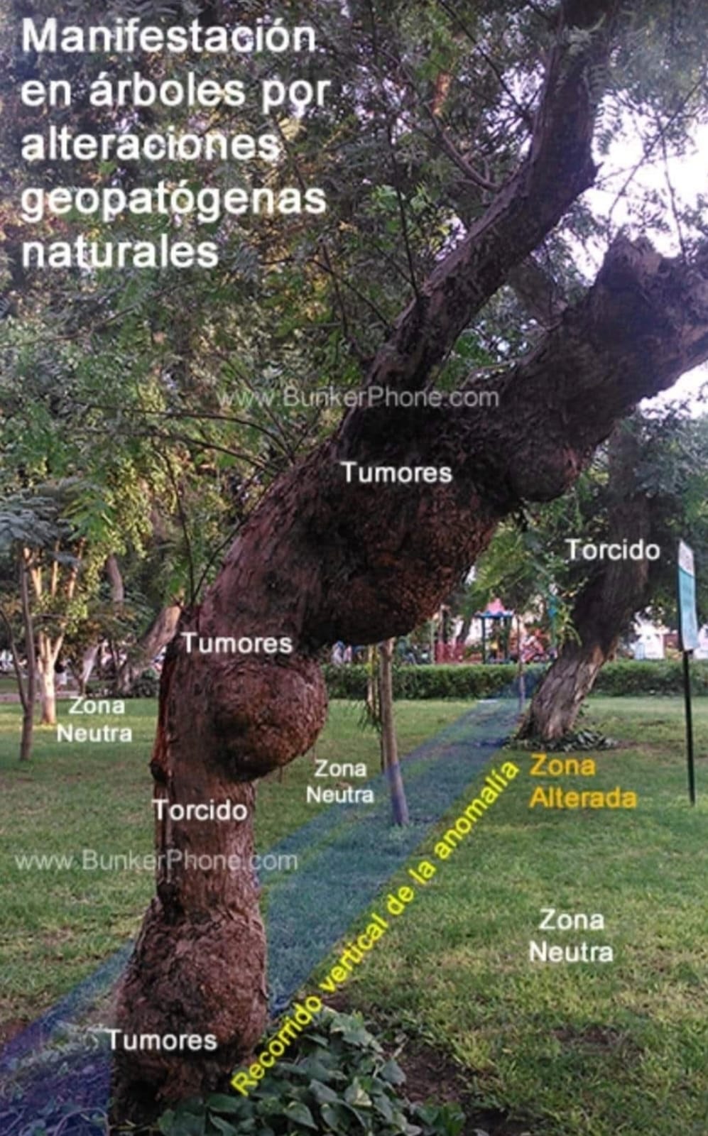 Medición de energías con péndulo y varillas de radiestesia